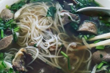 Southeast Asian noodle soup.