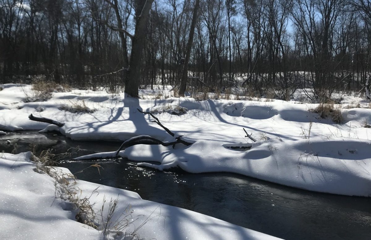 Creek in the Winter